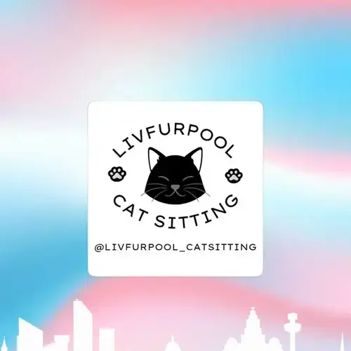 Featured image of post Livfurpool Cat Sitting