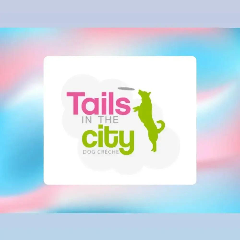 Featured image of post Tails In The City - Dog Creche